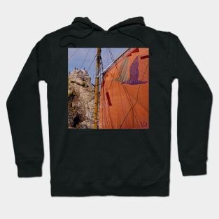 Sailing and birds Hoodie